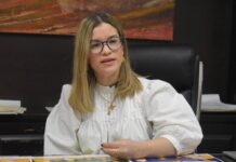 Ofrecerá IMCA Taller práctico para la elaboración de proyectos culturales para convocatorias artísticas