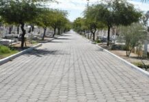 Por el decreto del Panteón Yáñez como Bosque Memorial sólo se permitirán inhumaciones en espacios sin utilizar con título