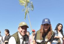 Reconocen gobierno de Toño Astiazarán por arborización e innovación en el cuidado de árboles