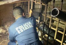 Destruye Gobierno de Sonora 39 puntos de observación en protocolo fronterizo: SSP