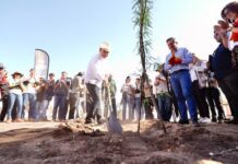 Arranca Durazo reforestación de áreas del Bosque Urbano La Sauceda