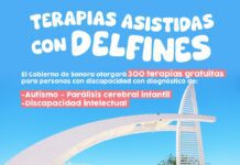 Anuncia DIF Guaymas convocatoria para el programa de terapias asistidas con delfines.