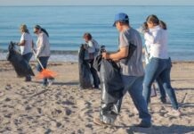Participa el Ayuntamiento de Guaymas en la Jornada de limpieza de playas y costas