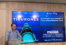 Anuncia Toño Astiazarán exposición internacional TIBURONES en Hermosillo para promover la conservación de la especie