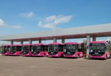 Gobernador Durazo transforma el transporte público: duplica la flota y alcanza 768 unidades en Sonora